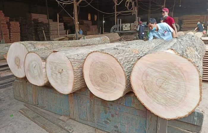 Thủ tục xuất khẩu gỗ sang Hoa Kỳ mà doanh nghiệp cần biết